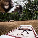 Australian Natives Collection Deck | Emu | Cream