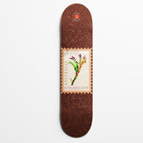 Australian Natives Collection Deck | Kangaroo Paw | Dark Brown
